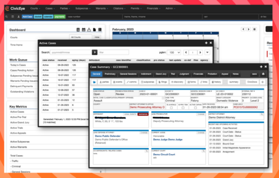 Case Summary for CivicCase for Court - CivicEye