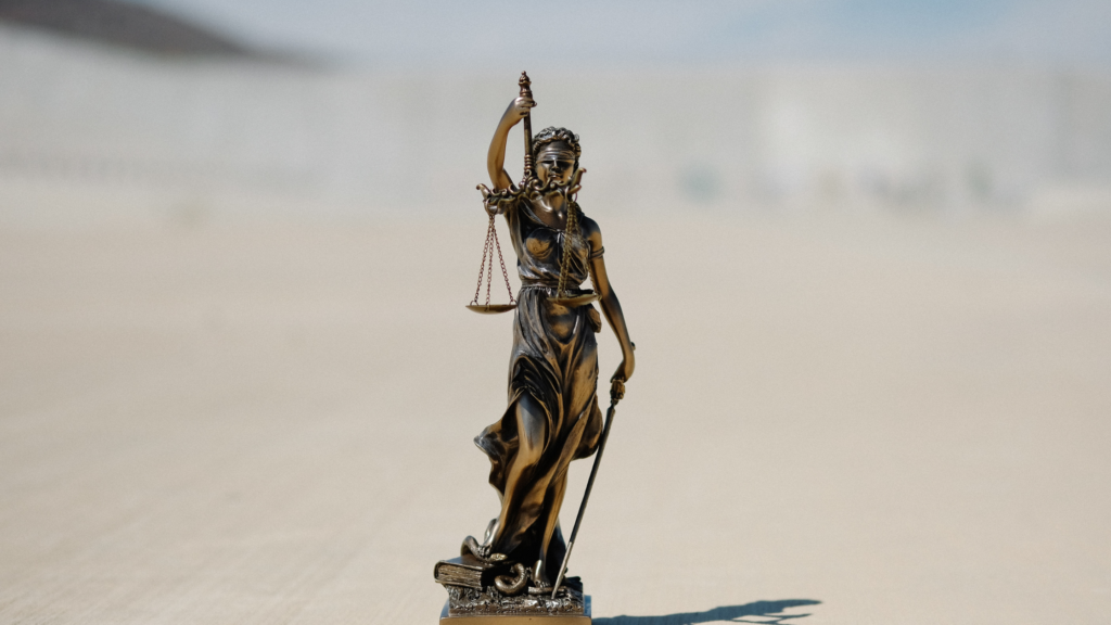 victim advocate access, case management system for prosecutors